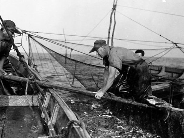 doxsee sea clam company